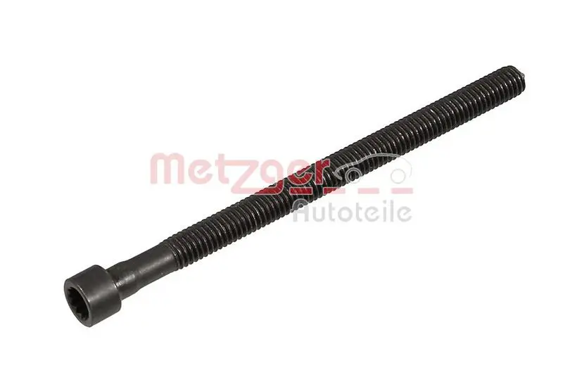 METZGER 0873030 Болт, крепление форсунки