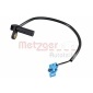 METZGER 0909091