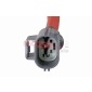 METZGER 0930017