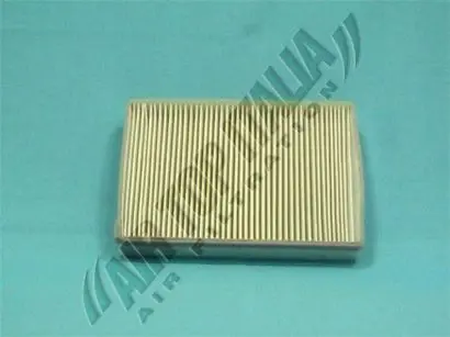 ZF373 