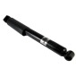 MAGNUM TECHNOLOGY AG1079MT