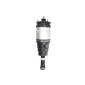 MAGNUM TECHNOLOGY APL015MT