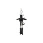 MAGNUM TECHNOLOGY AG0543MT