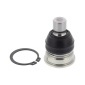MAPCO 52244