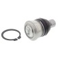 MAPCO 52244