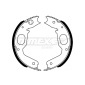TX2273 Brake Shoe Set
