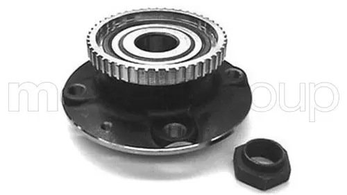 METELLI 192669 Wheel Bearing Kit