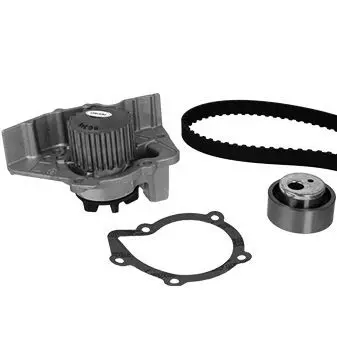 Metelli 3003481 Водяной насос + комплект