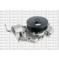 Metelli 241205