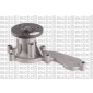 Metelli 241119