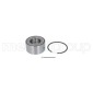 198180 Wheel Bearing Kit