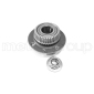 192741 Wheel Bearing Kit