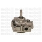 METELLI 240276
