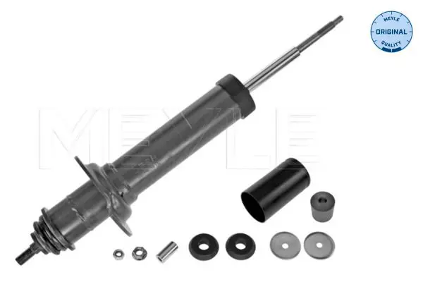 Meyle 0267250023 Амортизатор задний L=R MB W163