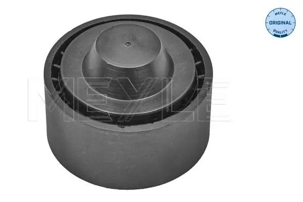MEYLE 16140090012 Ролик приводного ремня Citroen