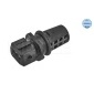 29148120002 Sensor, intake air temperature