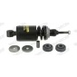 Monroe CB0237