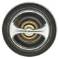 MOTORAD 48391K