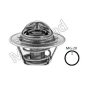 K30588 Thermostat, coolant