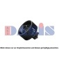 AKS DASIS 088169N