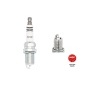 2668 Свеча (Iridium) BKR8EIX 2668