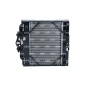 NRF 550288