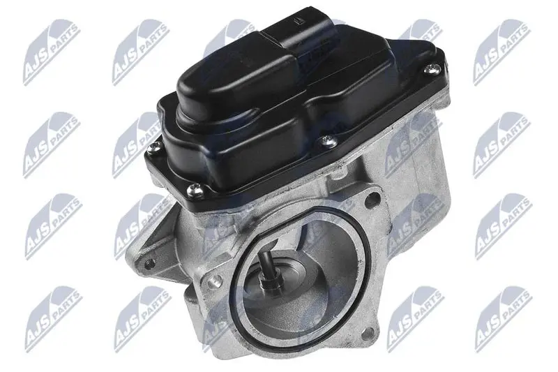 EGR-AU-002 Клапан