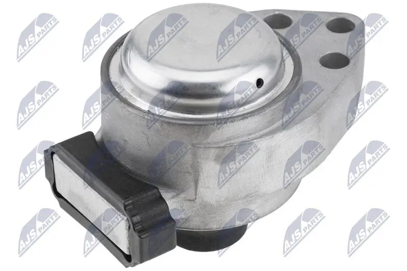 ZPS-FR-071 Подвеска, двигатель