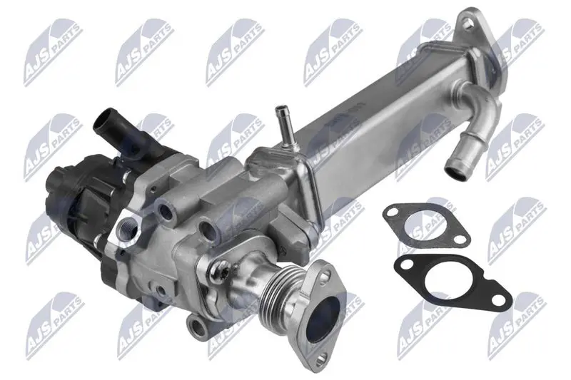 NTY EGRFT017 EGR Module