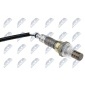 NTY ESLMS010