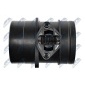 NTY EPPAU001