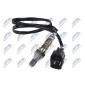 NTY ESLMZ012