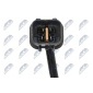 NTY ESLMS012