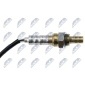 NTY ESLMZ020