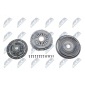 NTY NZSPL004