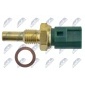 NTY ECTTY002
