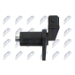 NTY ECPBM019
