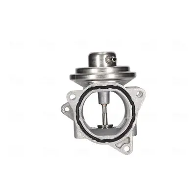 NISSENS 98173 Клапан возврата ОГ