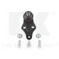 NK 5043419