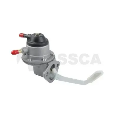  Ossca 