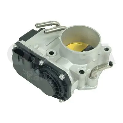  Throttle body