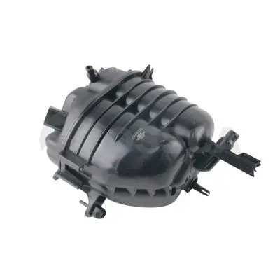  OSSCA Expansion Tank, coolant