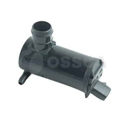  Ossca 