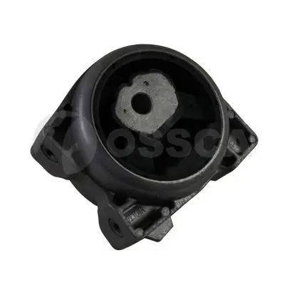  OSSCA 