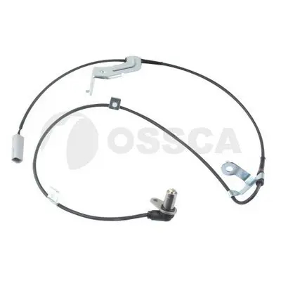  Ossca 
