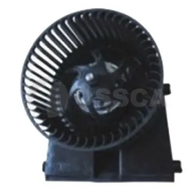  OSSCA 