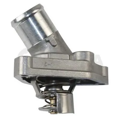  Ossca 