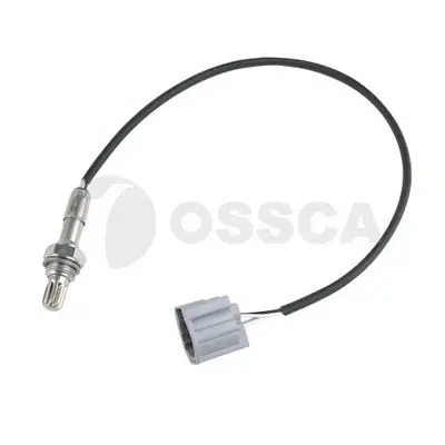  Ossca 