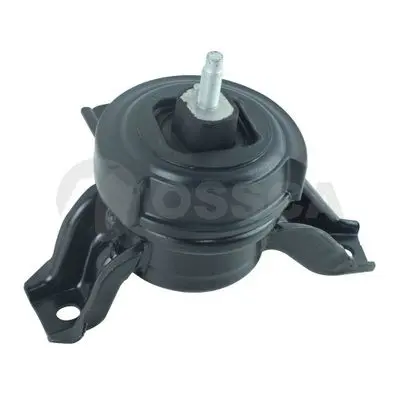  OSSCA 