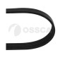OSSCA 10484